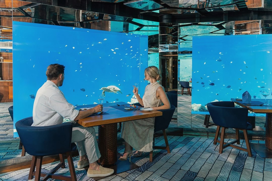 SEA. Anantara Kihavah's underwater restaurant, one of the few in the category that operates at the standard the visual promises.