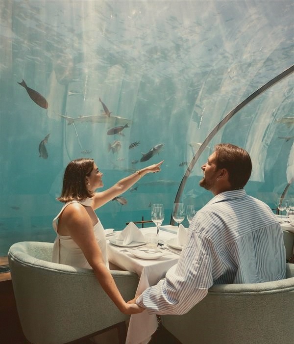 Ithaa. The underwater restaurant that defined the category, fully glass-enclosed at five-and-a-half metres below sea level.