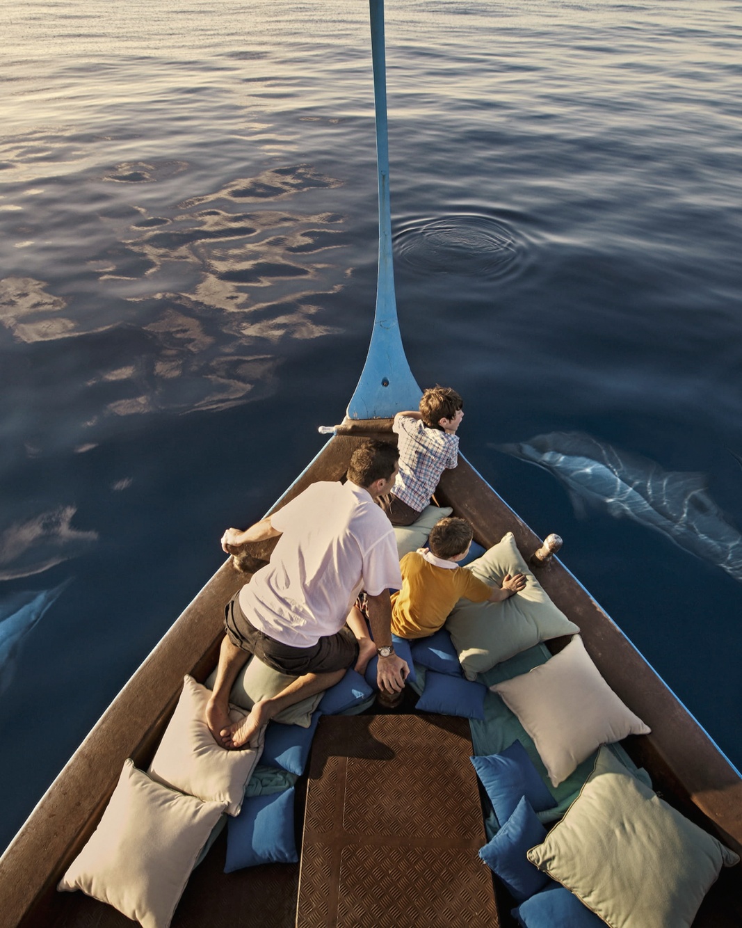 The dolphin cruise with canapés. The property's evening programmed activity, North Malé Atoll's productive cetacean population is reliable.