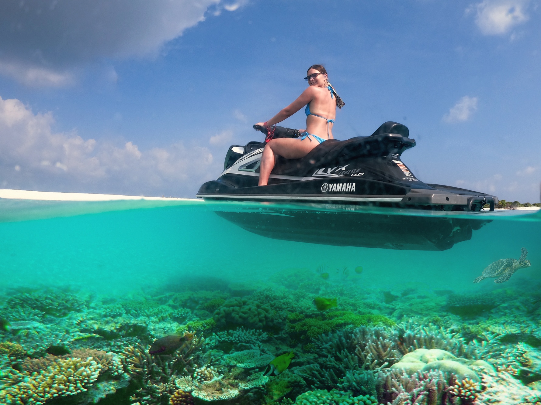 The house reef from below. Raa Atoll is one of the more productive atolls in the Maldives for coral and fish density.