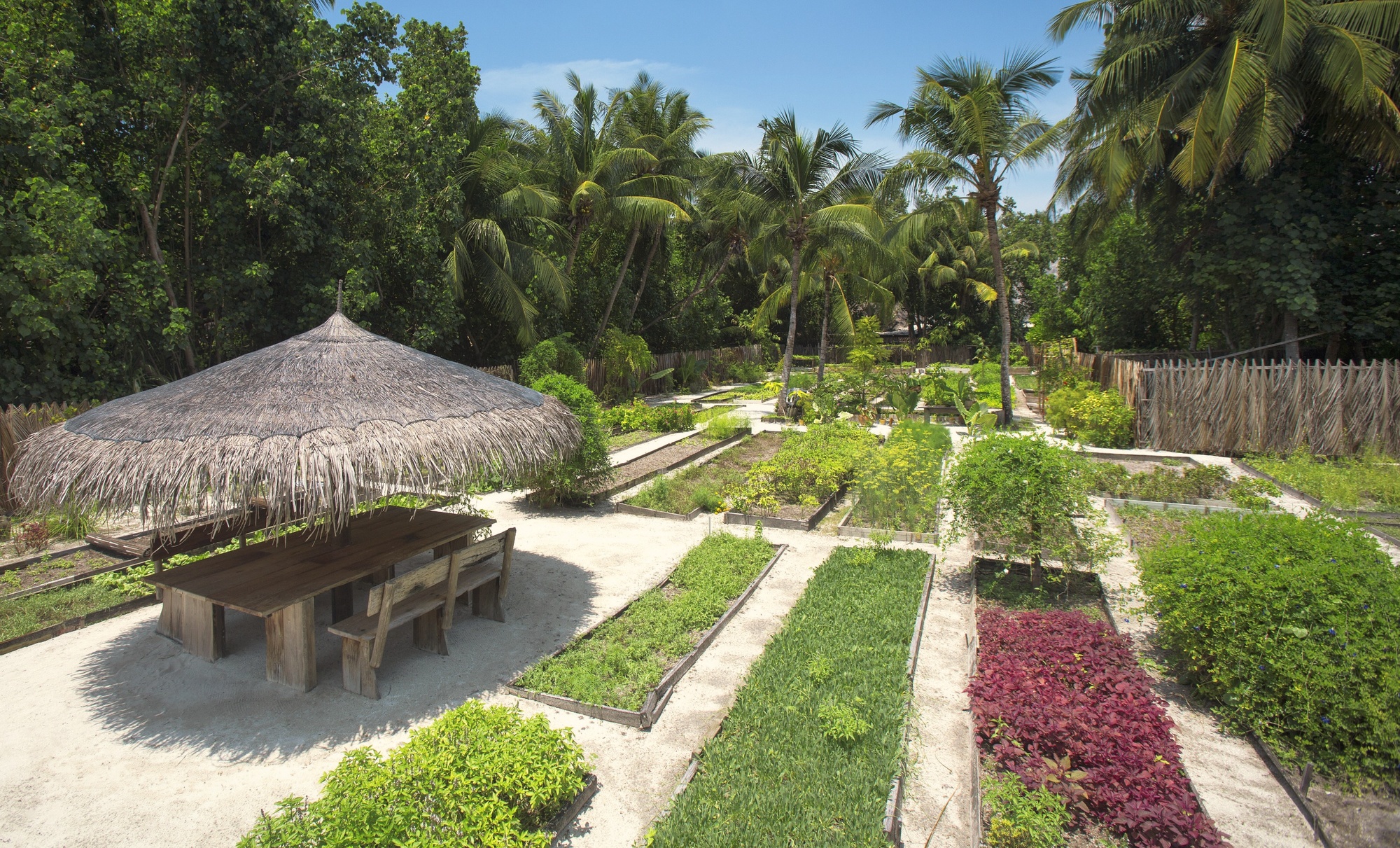 Ortolan. The organic kitchen garden, a feeder for the property's restaurants and an active part of the eco-programme.