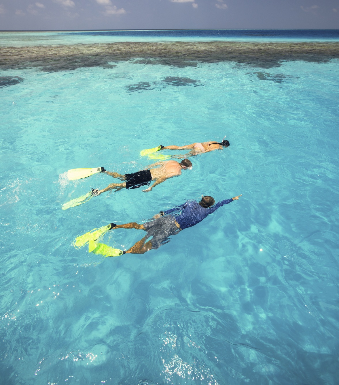 Reef snorkelling. The productive shallow reef directly accessible from the villa decks across the property.