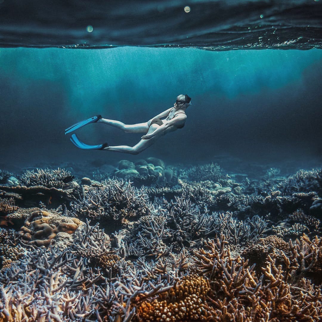 The house reef from the surface. Coral formations begin within swimming distance of the overwater villas.