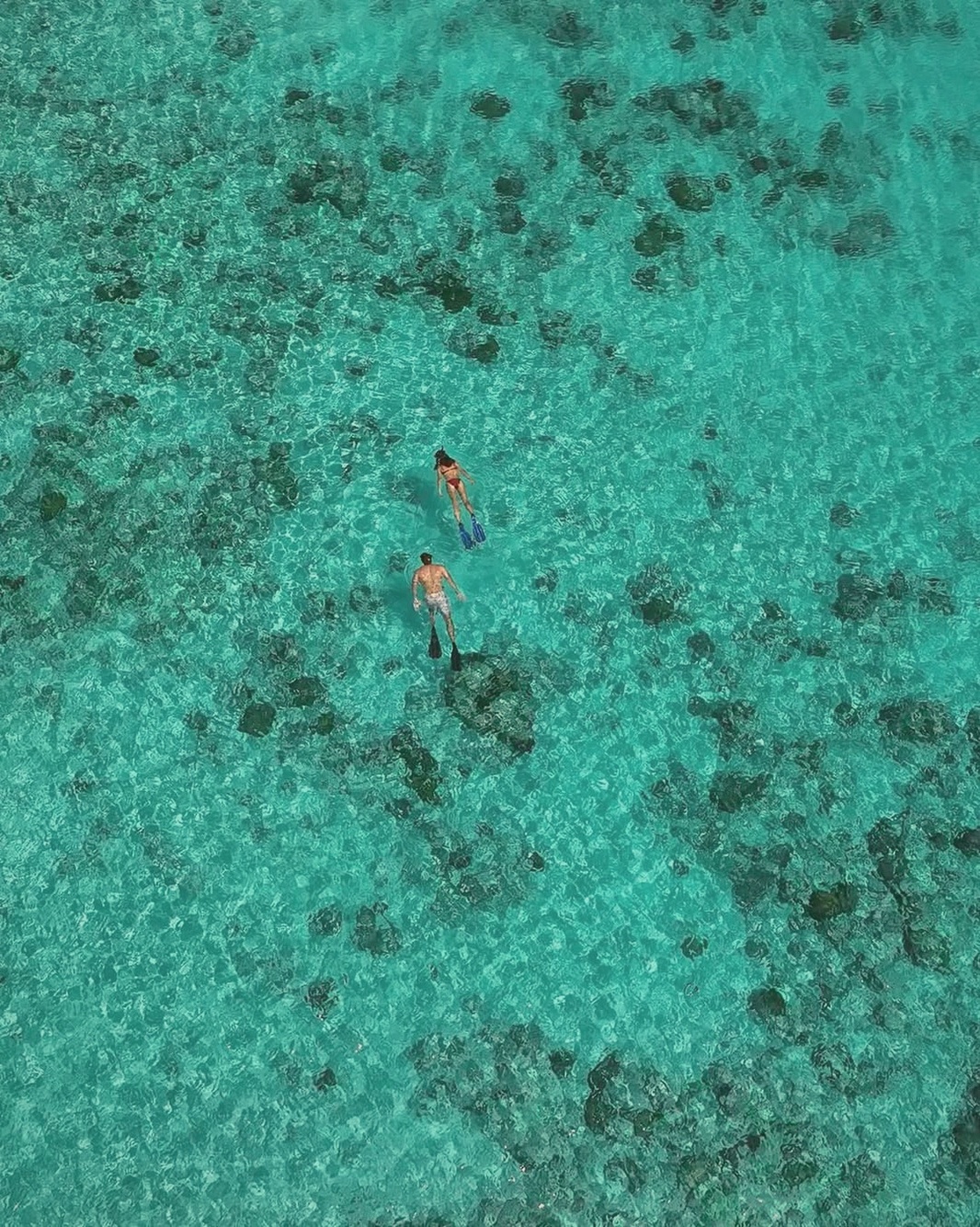 The house reef from the water. Snorkelling is accessible directly from the overwater villas, with the wider atoll available through the dive operation.