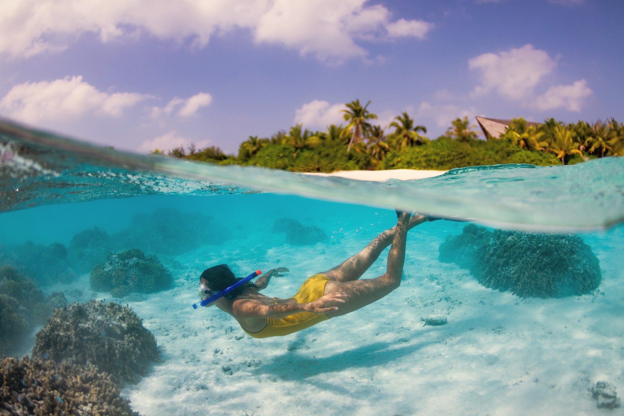 The house reef from below. The coral structure is intact and the fish density is high enough to reward a snorkel directly from the villa steps.
