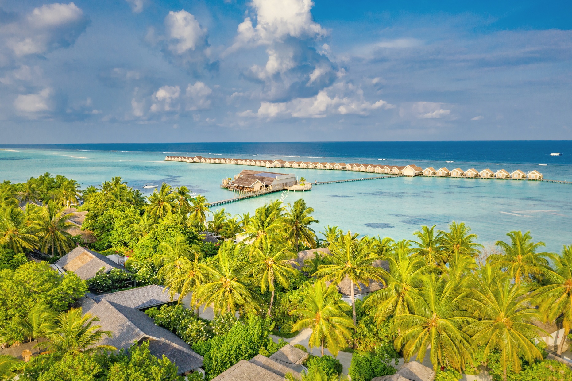 Dhidhoofinolhu from above. The island sits within the South Ari corridor, surrounded by the reef that makes this atoll one of the Maldives' most productive for large marine life.