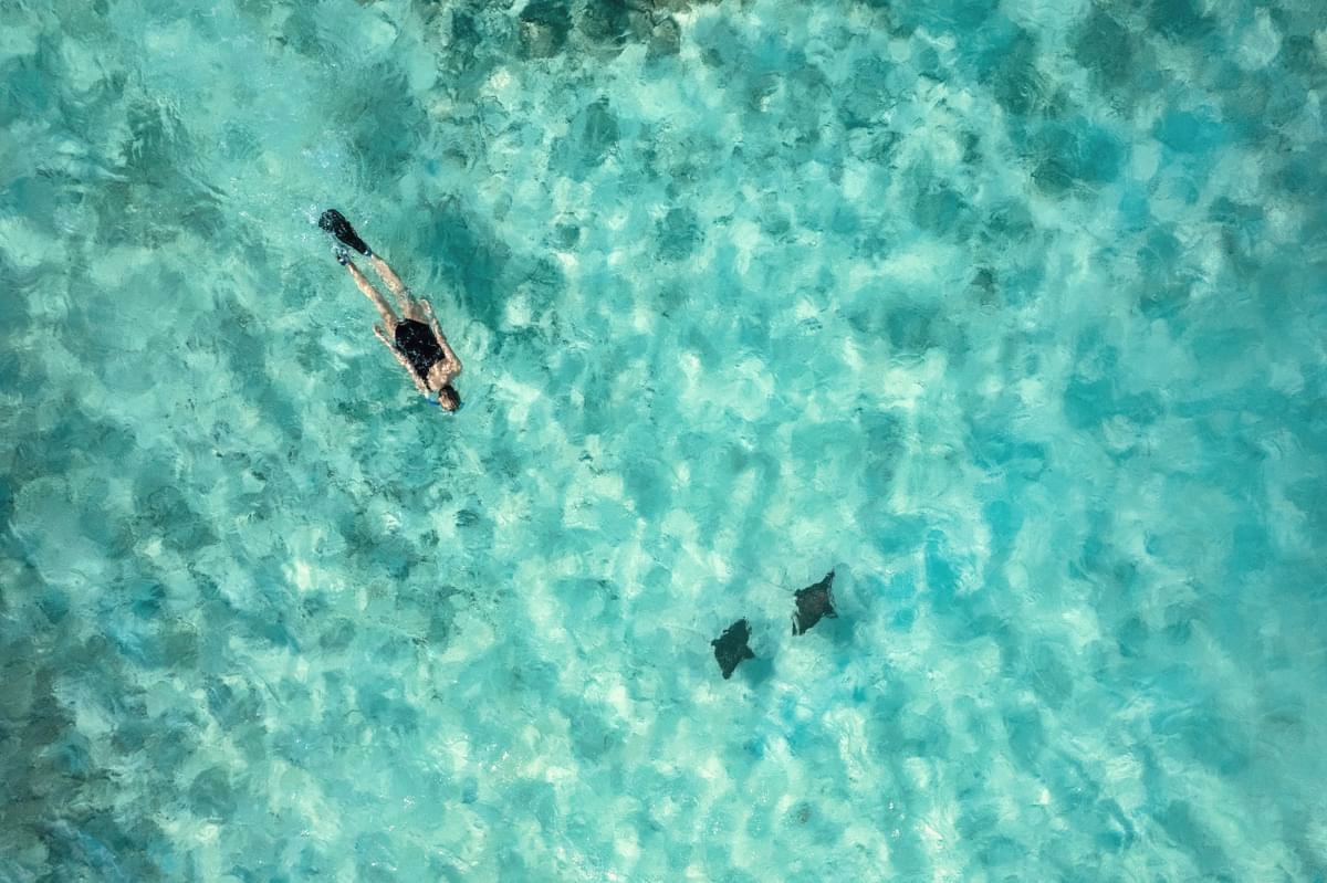 The reef at The Nautilus. Baa Atoll is a UNESCO Biosphere Reserve, and the house reef reflects the productivity of the surrounding marine environment.