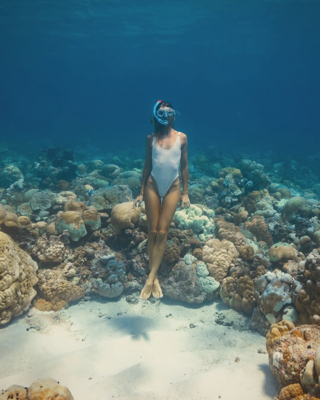 Hanifaru Bay manta encounter. The UNESCO Biosphere protected area, accessible to Soneva guests during manta season June–November.