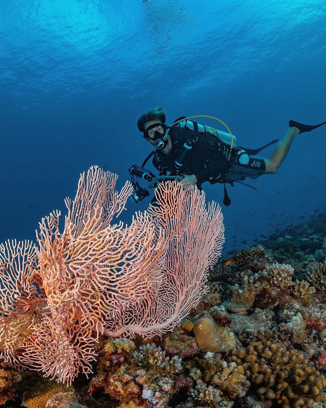 The house reef from the surface. Baa Atoll is a UNESCO Biosphere Reserve, and the reef system directly accessible from Miriandhoo is the primary reason to choose this property over a comparable resort
